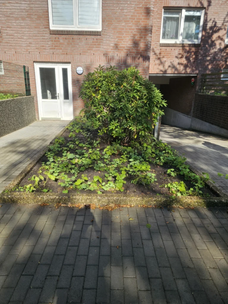 Garden Maintenance