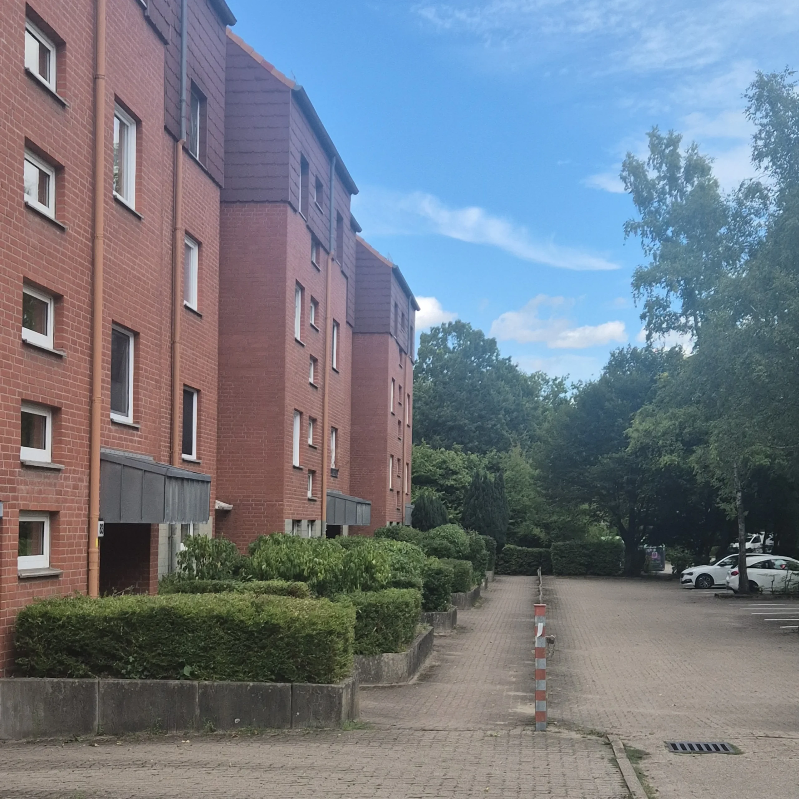 Heckenschnitt Hamburg